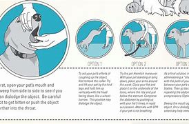 Image result for Dog and Cat CPR Icon