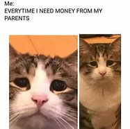 Image result for Crying with Money Meme
