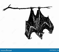 Image result for Upside Down Bat Line Art