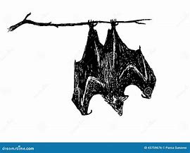 Image result for Upside Down Bat Art