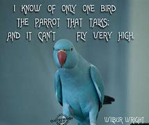 Image result for Funny Bird Sayings