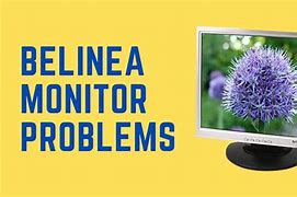 Image result for Monitor Issues