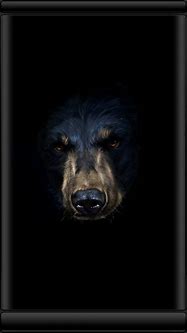 Image result for Black Bear Wallpaper