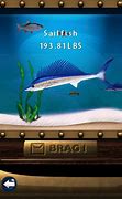 Image result for Fish Wall per Iphon
