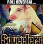 Image result for Steelers Humor