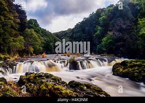 Image result for River Teifi Autumn