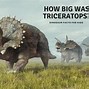 Image result for Biggest Water Dinosaur