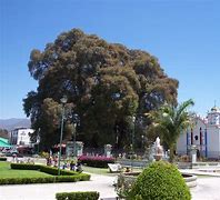 Image result for ahuenuete