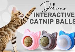 Image result for Magic Cat Balls Catnip