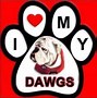 Image result for Dawg Football Meme