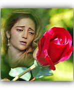 Image result for One Red Rose Bible