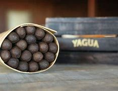 Image result for yagua