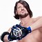 Image result for No Background AJ Styles