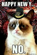 Image result for Grump Cat Funny New Year Meme