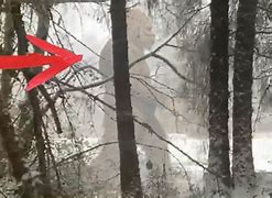 Image result for Russian Yeti Treeline
