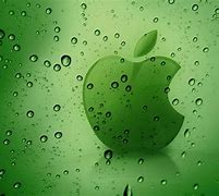 Image result for Apple Safari Wallpaper