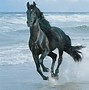 Image result for Galloping Horse Wallpaper