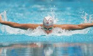 Image result for Swimming Types