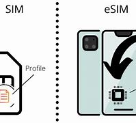 Image result for Esim Wiki