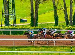 Image result for Horse Racing Dirt Track