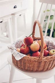Image result for Apple-Picking Basket