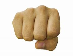 Image result for Clenched Fist Transparent
