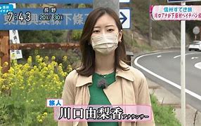Image result for NHK どどどど ロゴ
