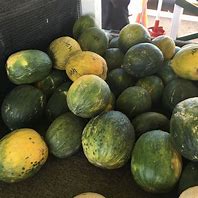 Image result for Unripe Crenshaw Melon