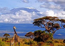 Image result for Tanzania Kilimanjaro