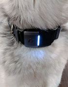 Image result for Smart Dog Collar