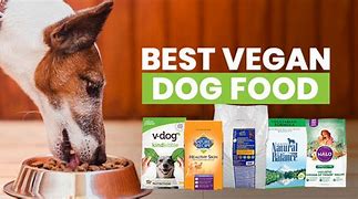 Image result for Vegan Pet Food