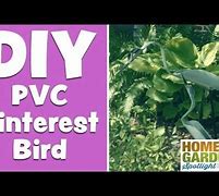 Image result for 2 PVC Pipe