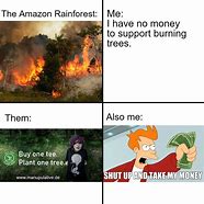 Image result for Amazon Rainforest Memes