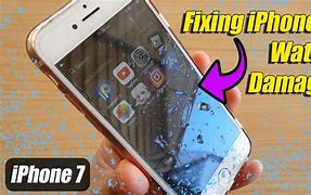 Image result for iPhone Water Damage Check