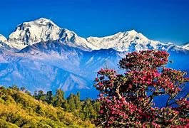 Image result for Nature in Bhutan