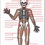 Image result for Human Skeleton ClipArt