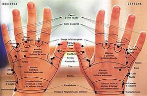 Image result for Reflexologia De Manos