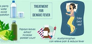 Image result for Dengue Treatment