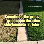 Image result for Grass Is Greener Septic Problem Meme