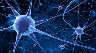 Image result for Brain Neuron Activity GIF