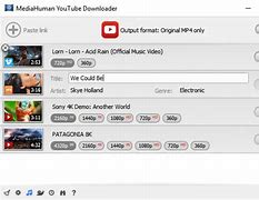 Image result for MediaHuman YouTube Downloader