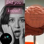 Image result for How Much Do We Know About the Brain