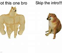 Image result for Skip the Intro Not This One Meme
