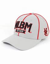 Image result for Negro League Baseball Caps
