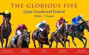 Image result for Goodwood Racing Series Final Photos
