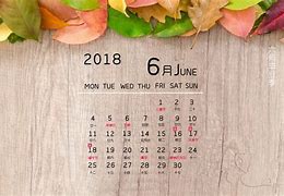 Image result for 2008年6月份