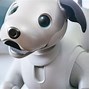 Image result for Robotic Companion Pets