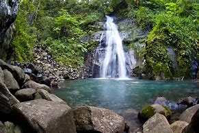 Image result for Pura Vida Gardens and Waterfalls