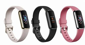 Image result for Fitbit Deluxe