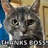 Image result for Thank You for Food Meme